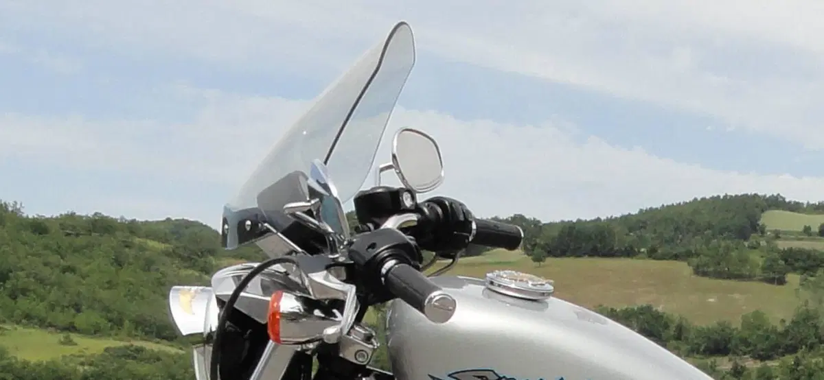 Harley-Davidson 883 Standard (2001 - 05) - XL 883 (9)