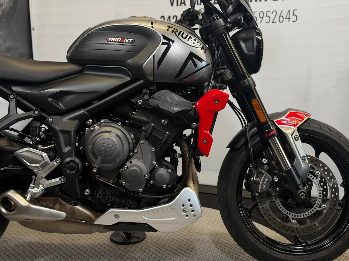 Triumph Trident 660 (2021 - 24) (4)