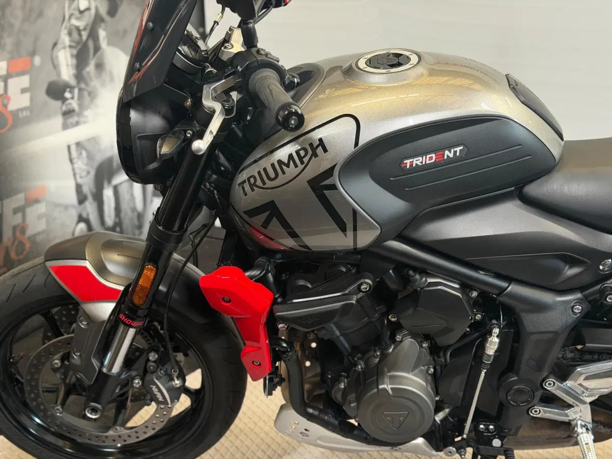 Triumph Trident 660 (2021 - 24) (8)