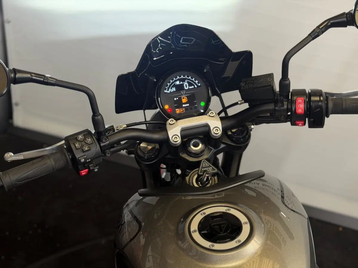 Triumph Trident 660 (2021 - 24) (13)