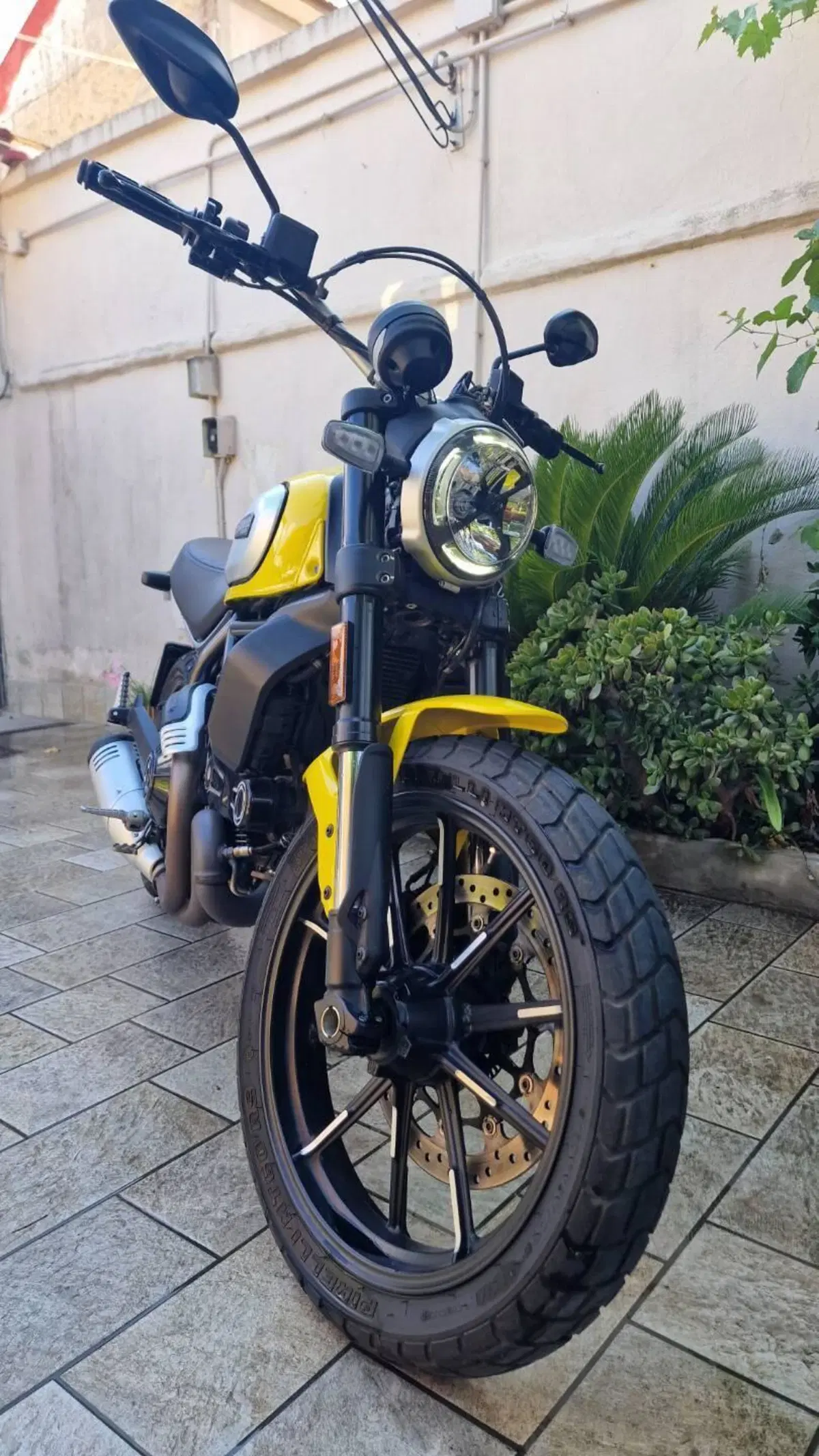 Ducati Scrambler 800 Icon (2021 - 22) (3)