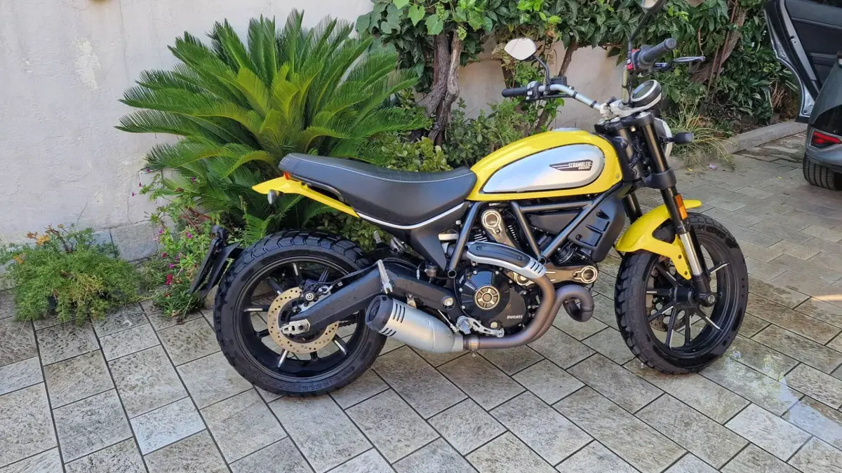 Ducati Scrambler 800 Icon (2021 - 22) (6)