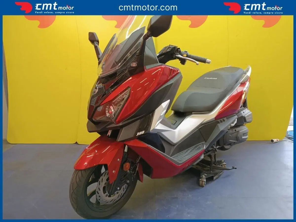 Sym Cruisym 300 (2017 - 20) (2)