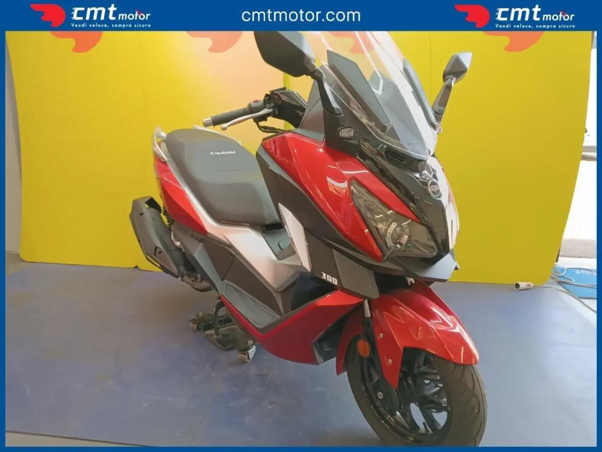 Sym Cruisym 300 (2017 - 20) (6)