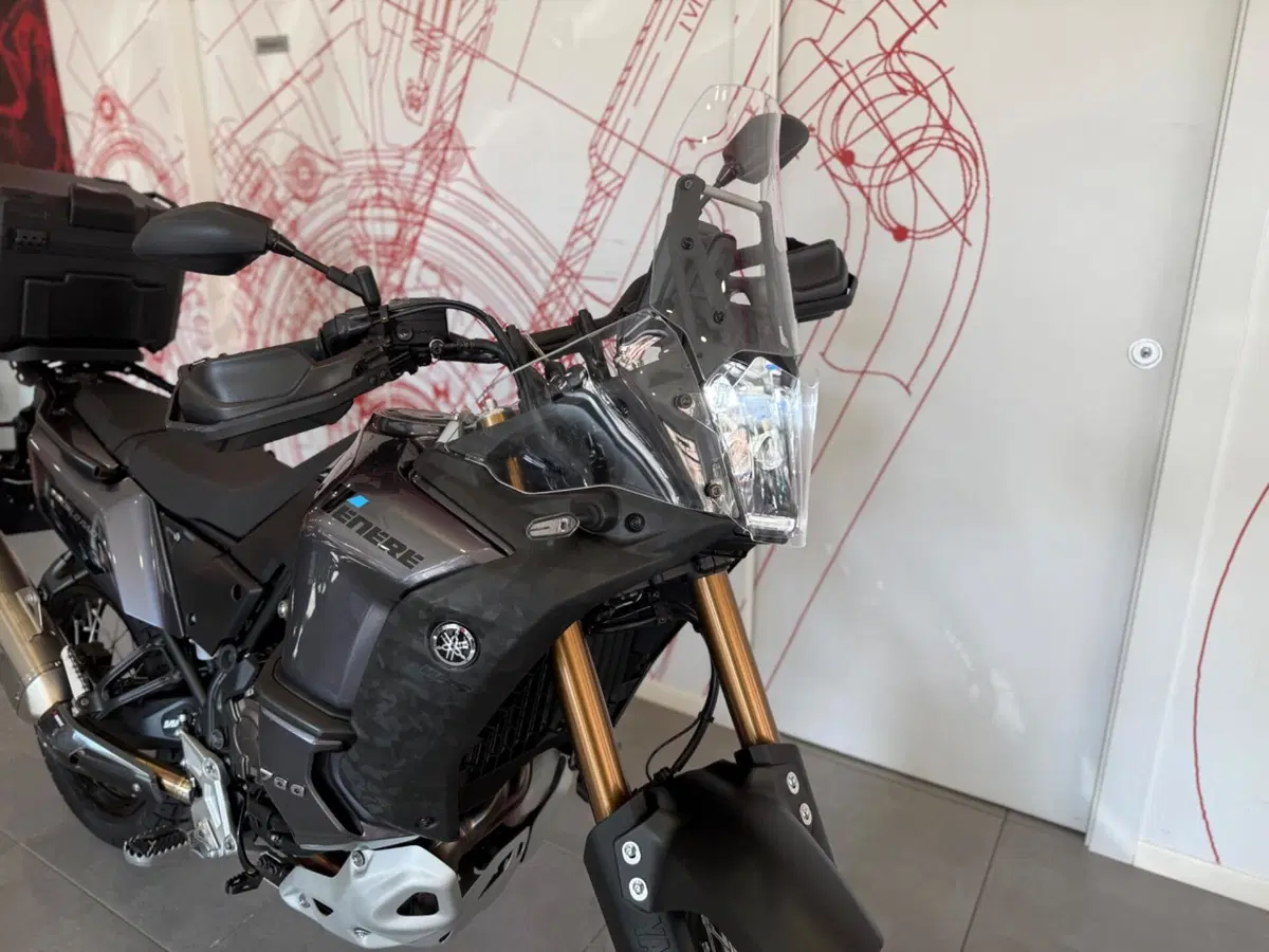 Yamaha Ténéré 700 World Raid (2022 - 25) (10)