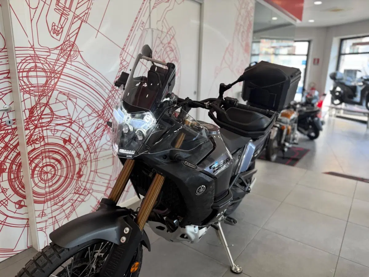 Yamaha Ténéré 700 World Raid (2022 - 25) (15)