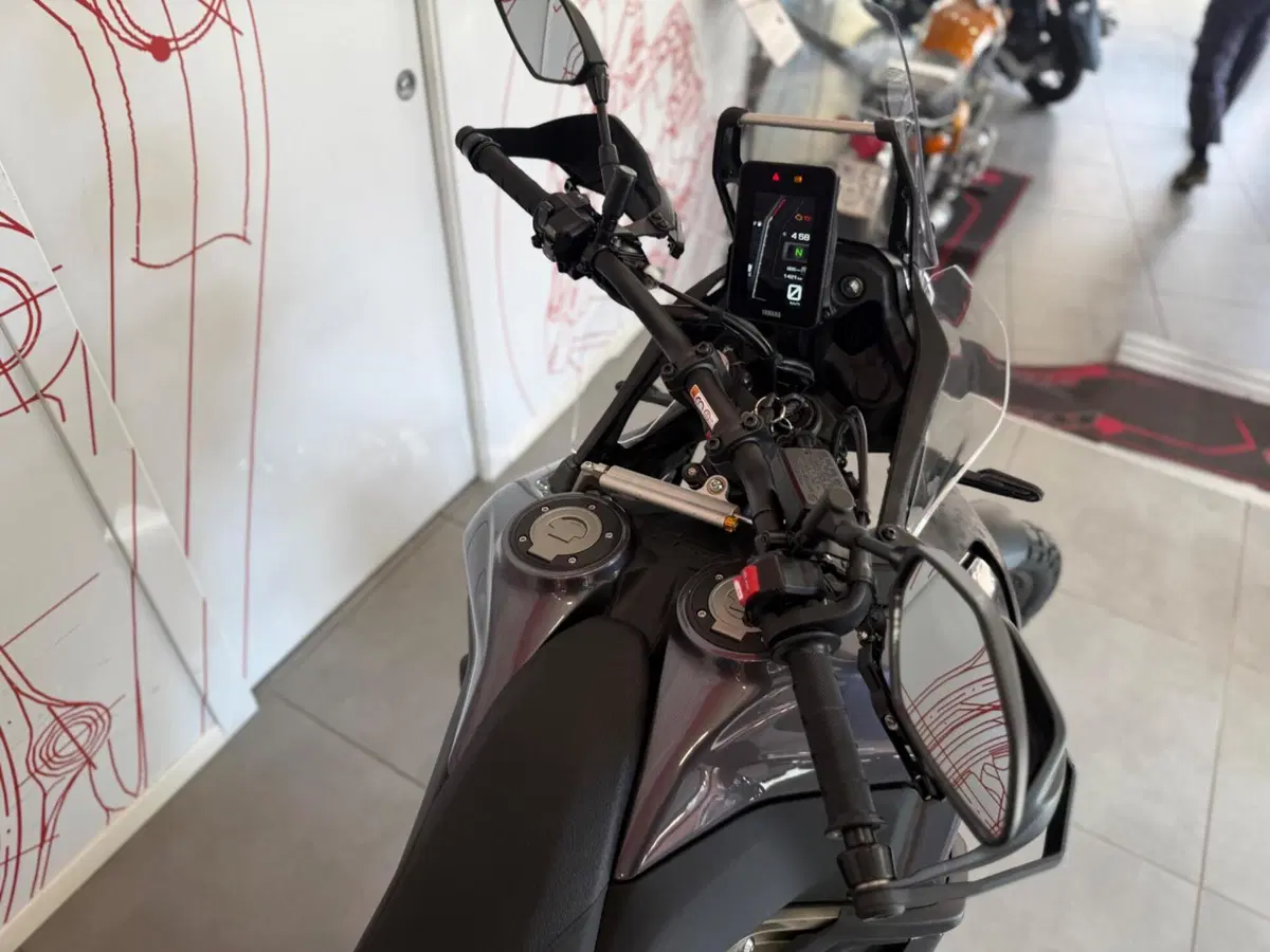 Yamaha Ténéré 700 World Raid (2022 - 25) (8)