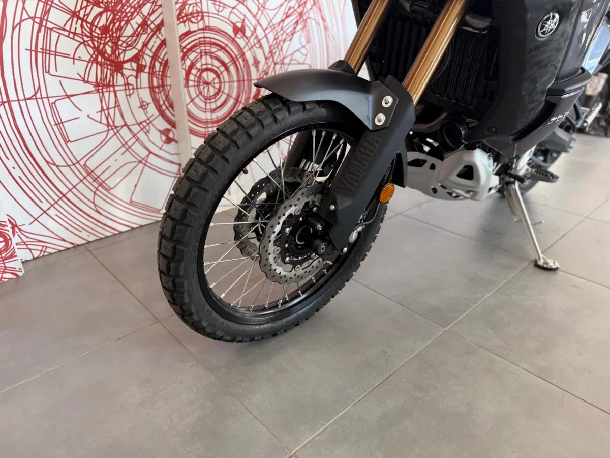 Yamaha Ténéré 700 World Raid (2022 - 25) (14)
