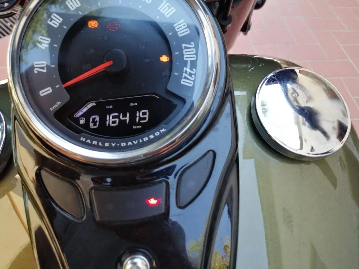 Harley-Davidson 114 Heritage Classic (2018 - 20) - FLHCS (5)