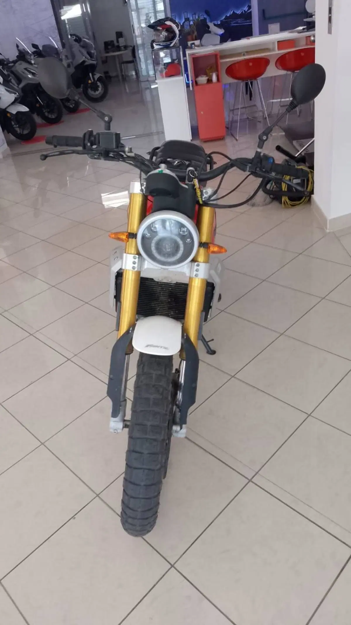 Fantic Motor Caballero 500 Scrambler (2021 - 23) (3)
