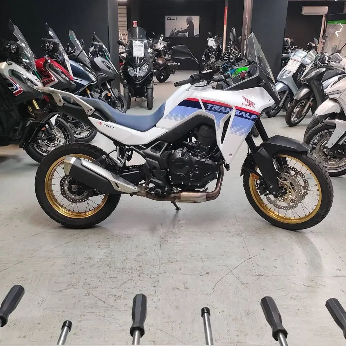 Honda Transalp XL750 (2023 - 24) (6)