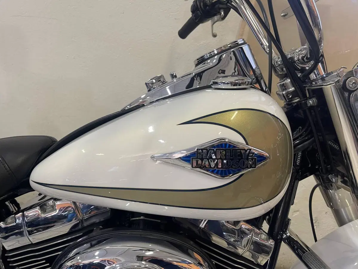 Harley-Davidson 1584 Heritage Classic (2008 - 10) - FLSTC (4)