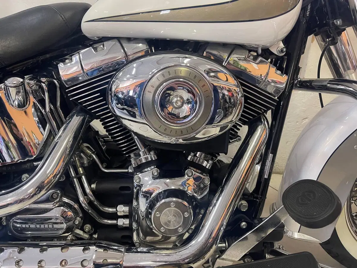 Harley-Davidson 1584 Heritage Classic (2008 - 10) - FLSTC (5)