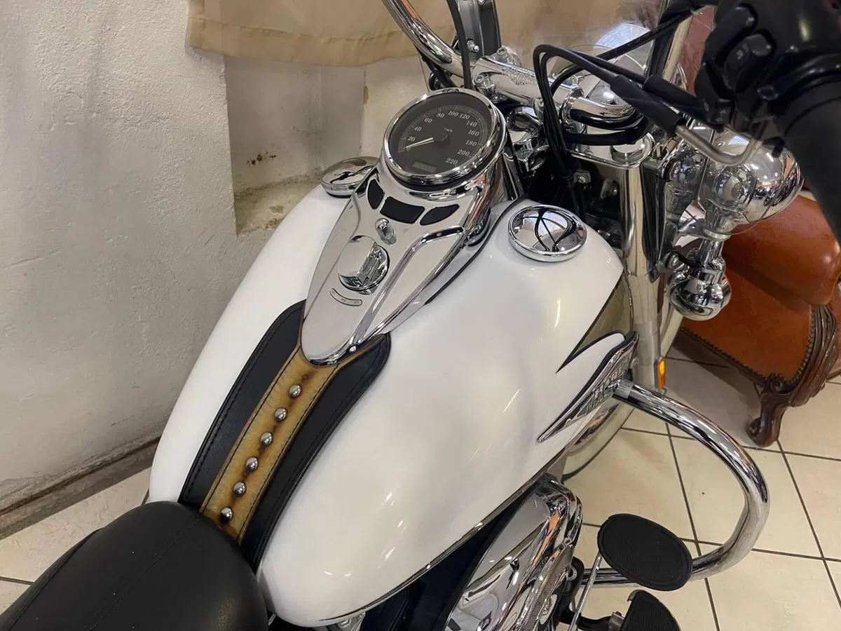 Harley-Davidson 1584 Heritage Classic (2008 - 10) - FLSTC (9)