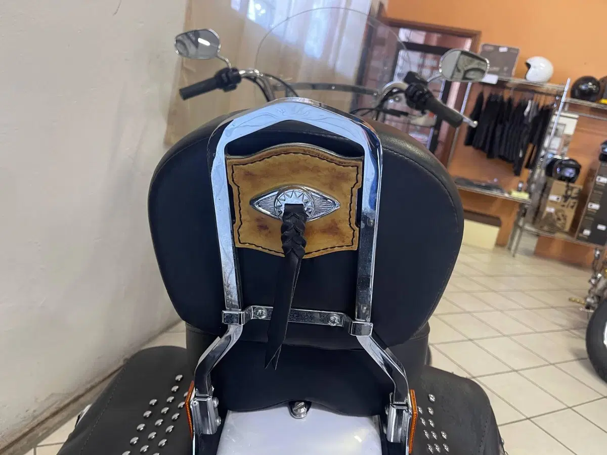 Harley-Davidson 1584 Heritage Classic (2008 - 10) - FLSTC (12)