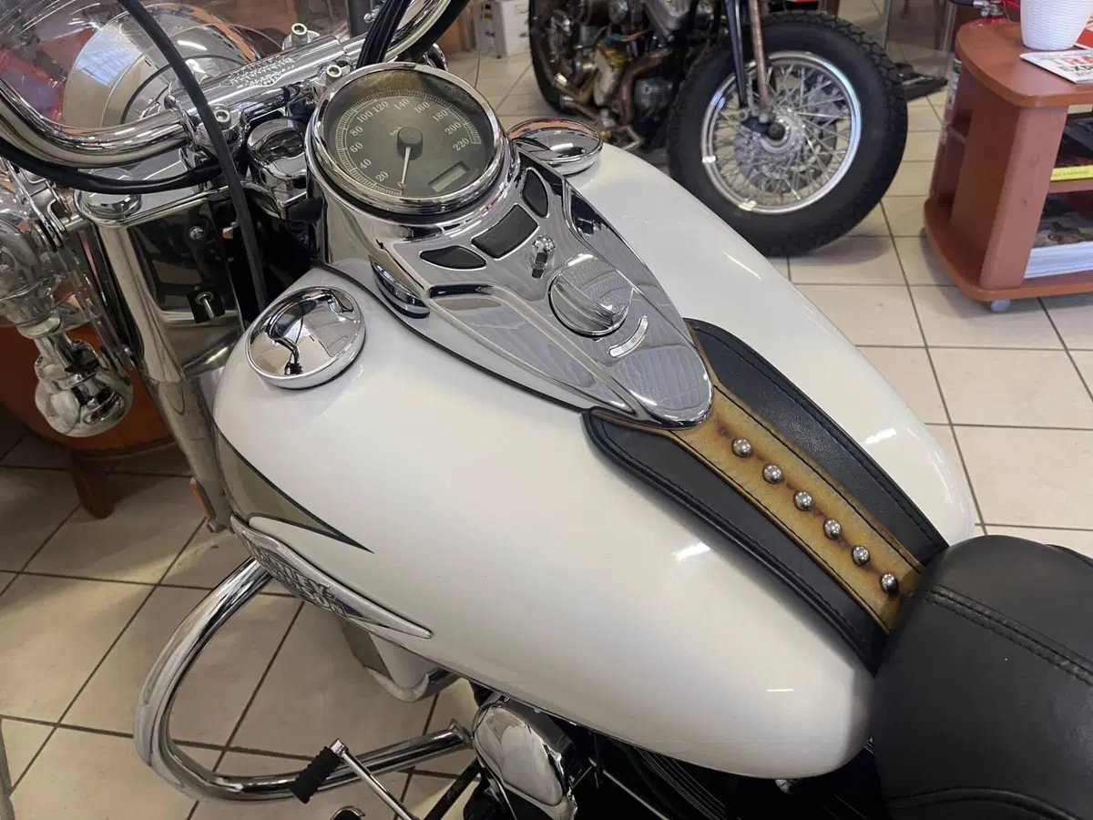 Harley-Davidson 1584 Heritage Classic (2008 - 10) - FLSTC (14)