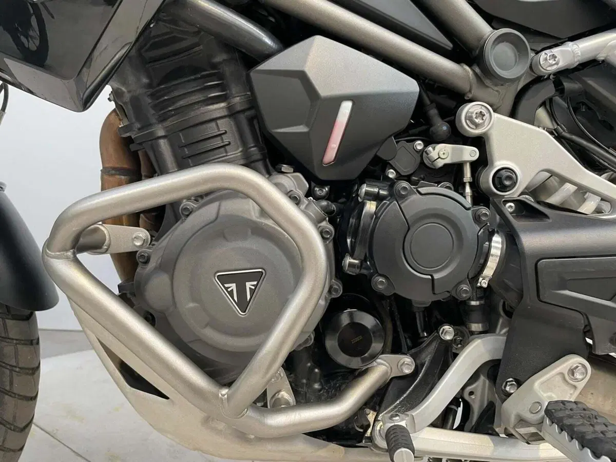 Triumph Tiger 1200 Rally Pro (2022 - 23) (13)