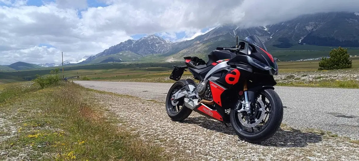 Aprilia RS 660 (2020 - 24) (3)