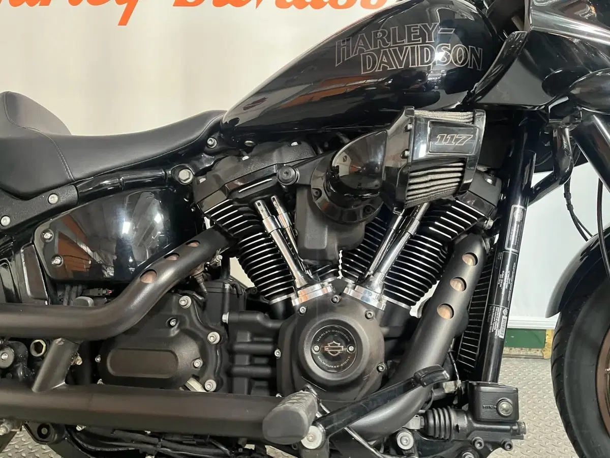 Harley-Davidson Low Rider ST (2022 - 24) (2)