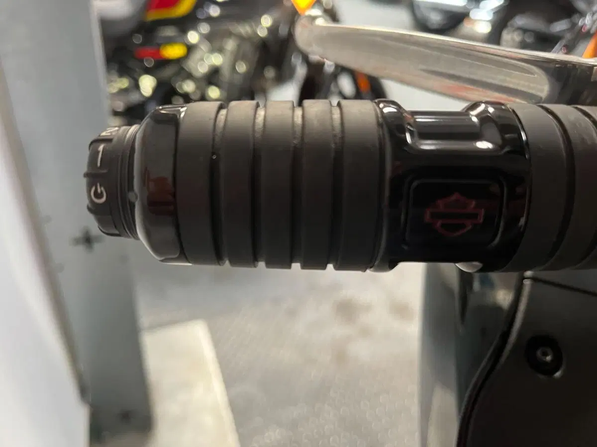 Harley-Davidson Low Rider ST (2022 - 24) (3)