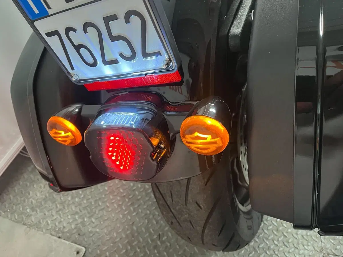 Harley-Davidson Low Rider ST (2022 - 24) (4)