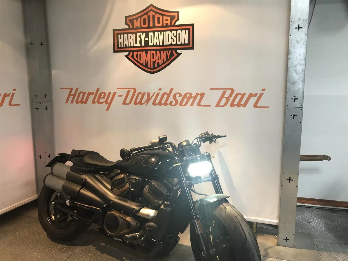 Harley-Davidson Sportster S (2022 - 24) (6)