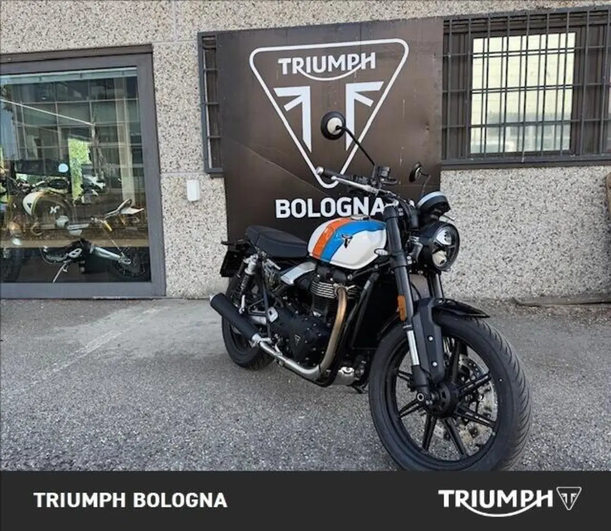 Triumph Speed Twin 900 (2025 - 26) (2)