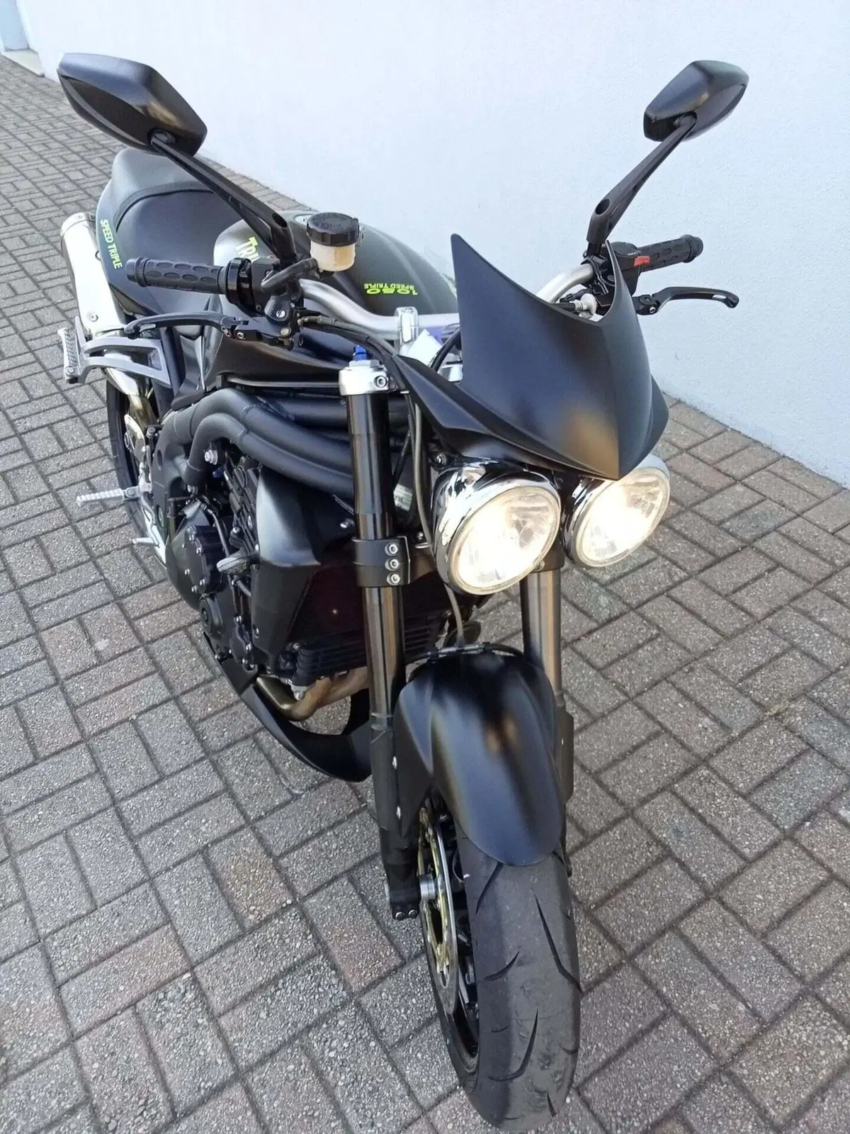 Triumph Speed Triple 1050 (2005 - 11) (5)