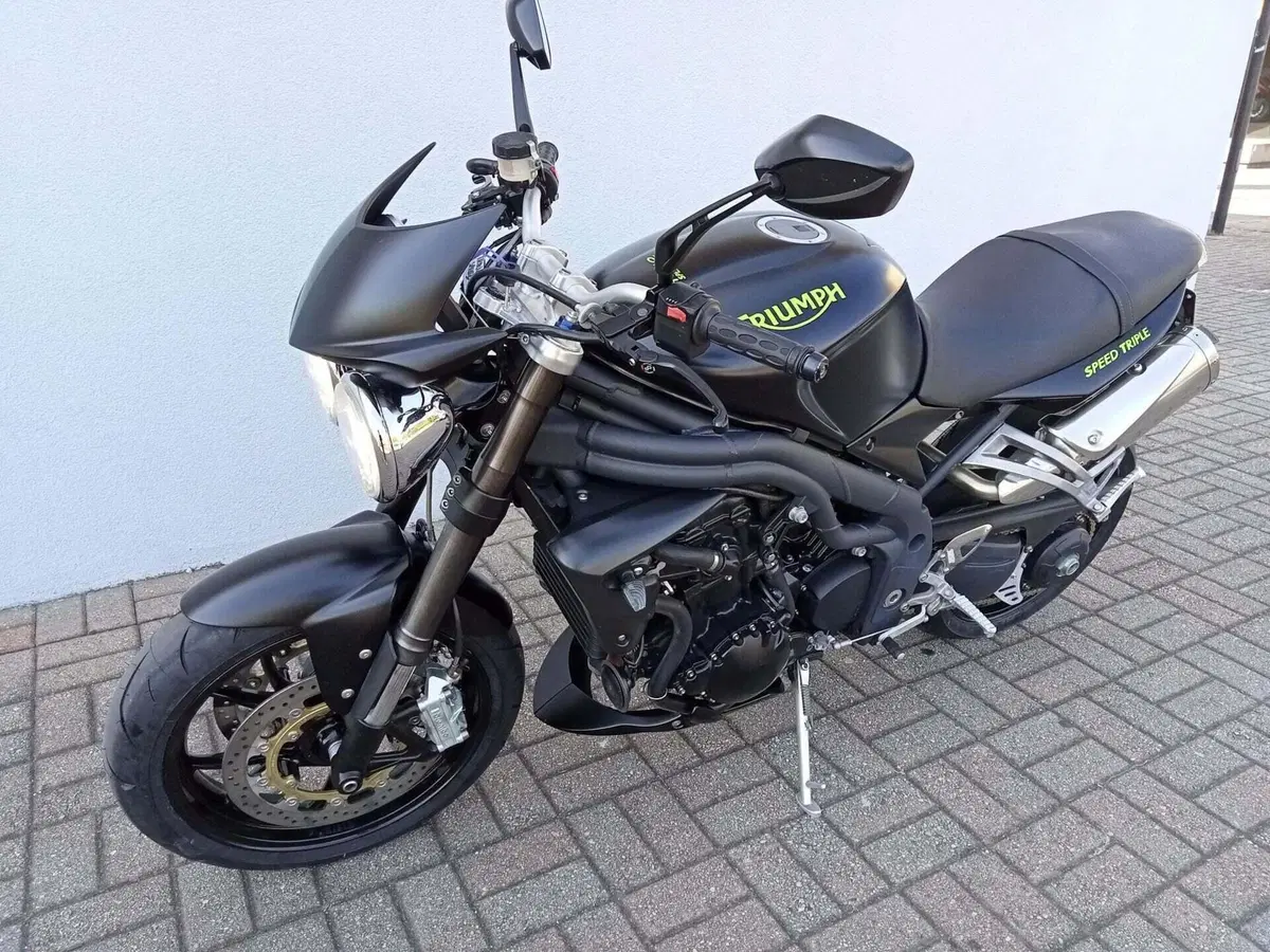 Triumph Speed Triple 1050 (2005 - 11) (6)