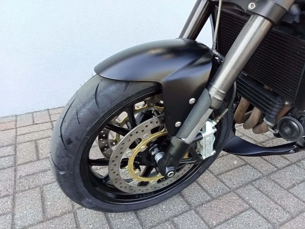 Triumph Speed Triple 1050 (2005 - 11) (10)