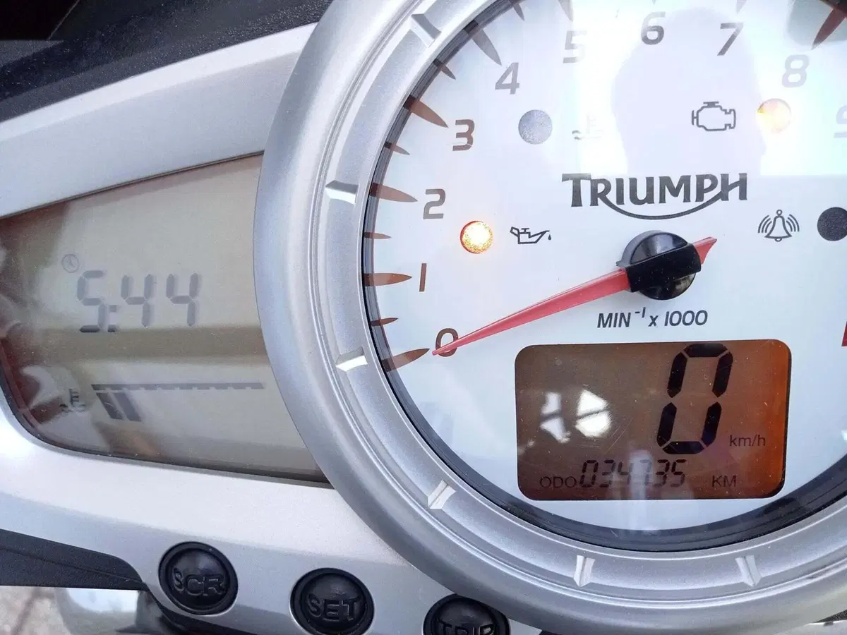 Triumph Speed Triple 1050 (2005 - 11) (13)
