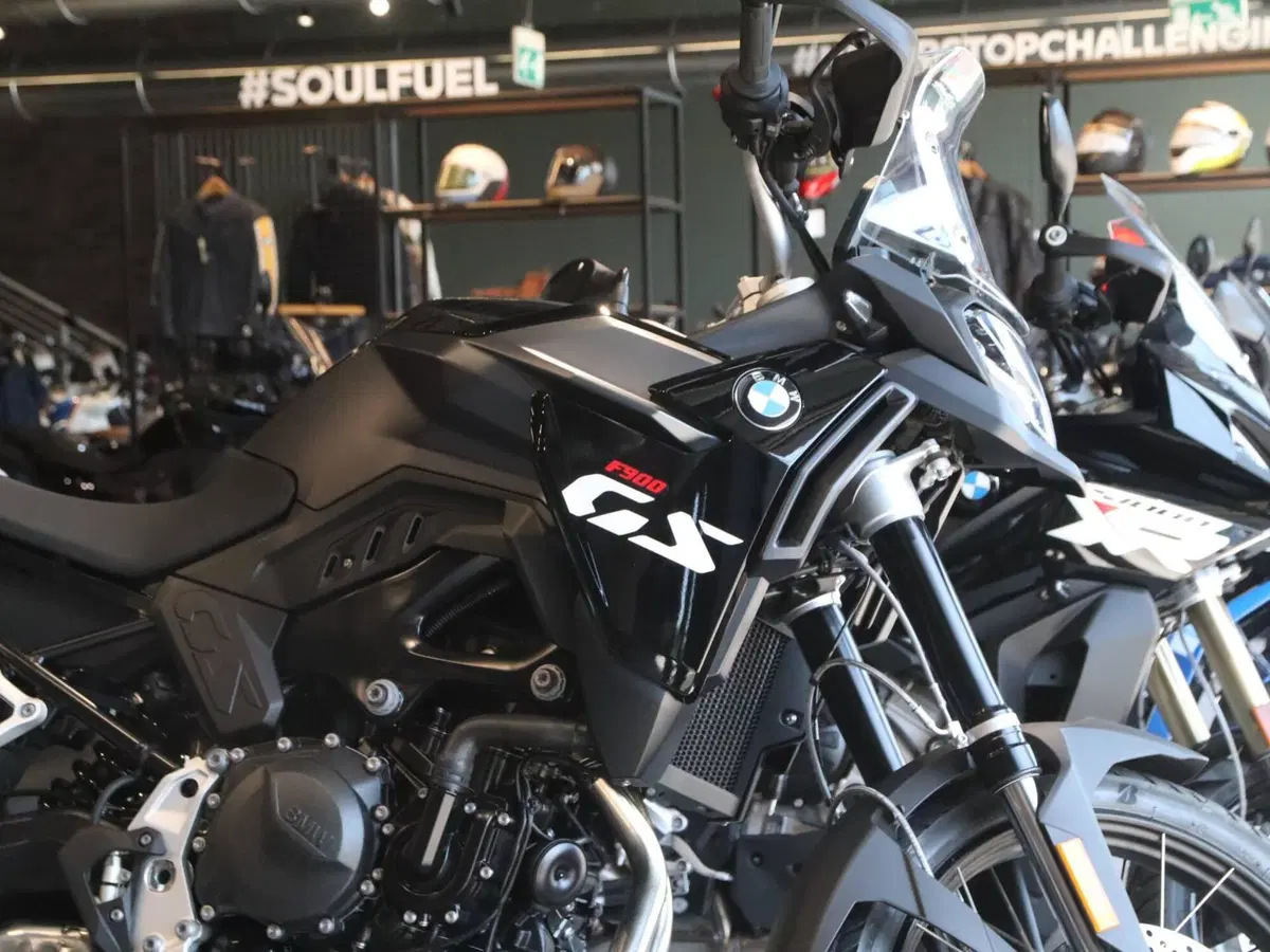 Bmw F 900 GS (2024 - 26) (2)
