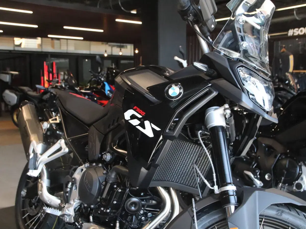 Bmw F 900 GS (2024 - 26) (4)