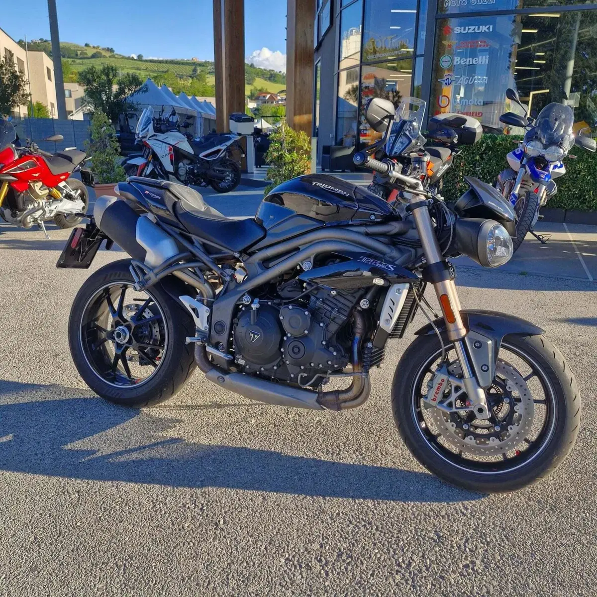 Triumph Speed Triple 1050 S ABS (2016 - 17) (3)