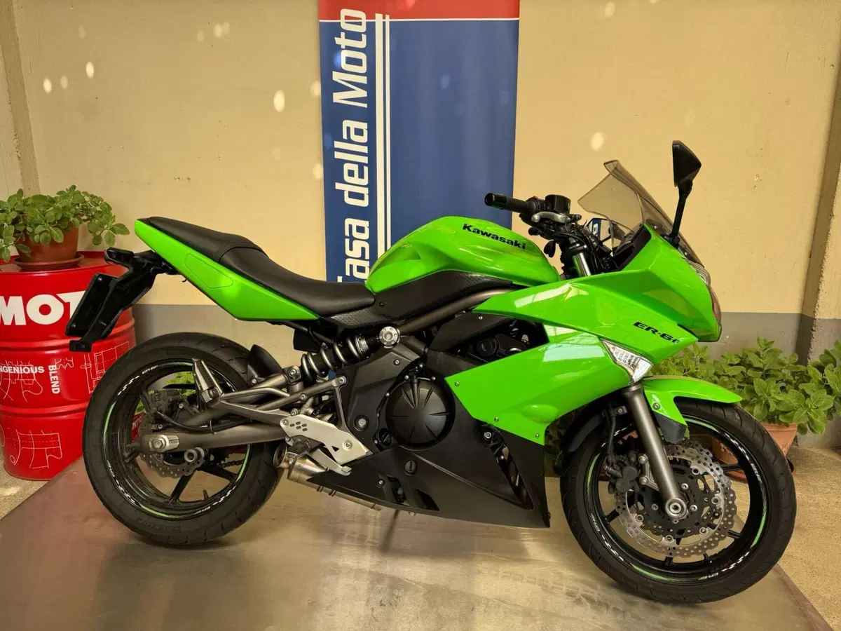 Kawasaki ER-6F (2009 - 11)