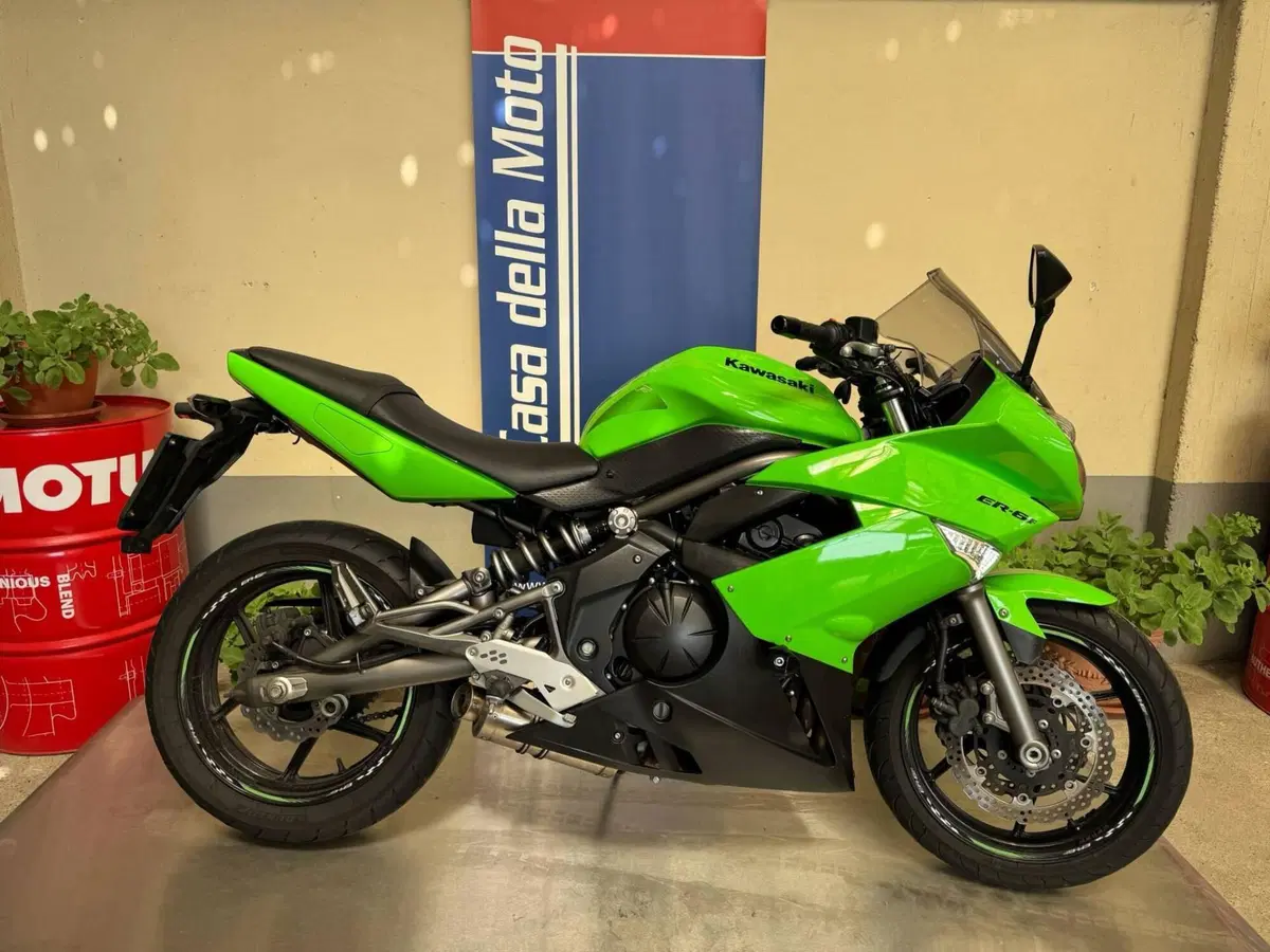 Kawasaki ER-6F (2009 - 11) (2)