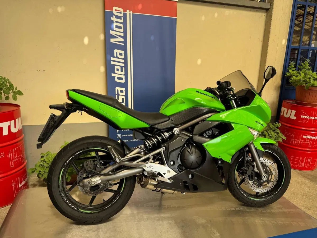 Kawasaki ER-6F (2009 - 11) (3)