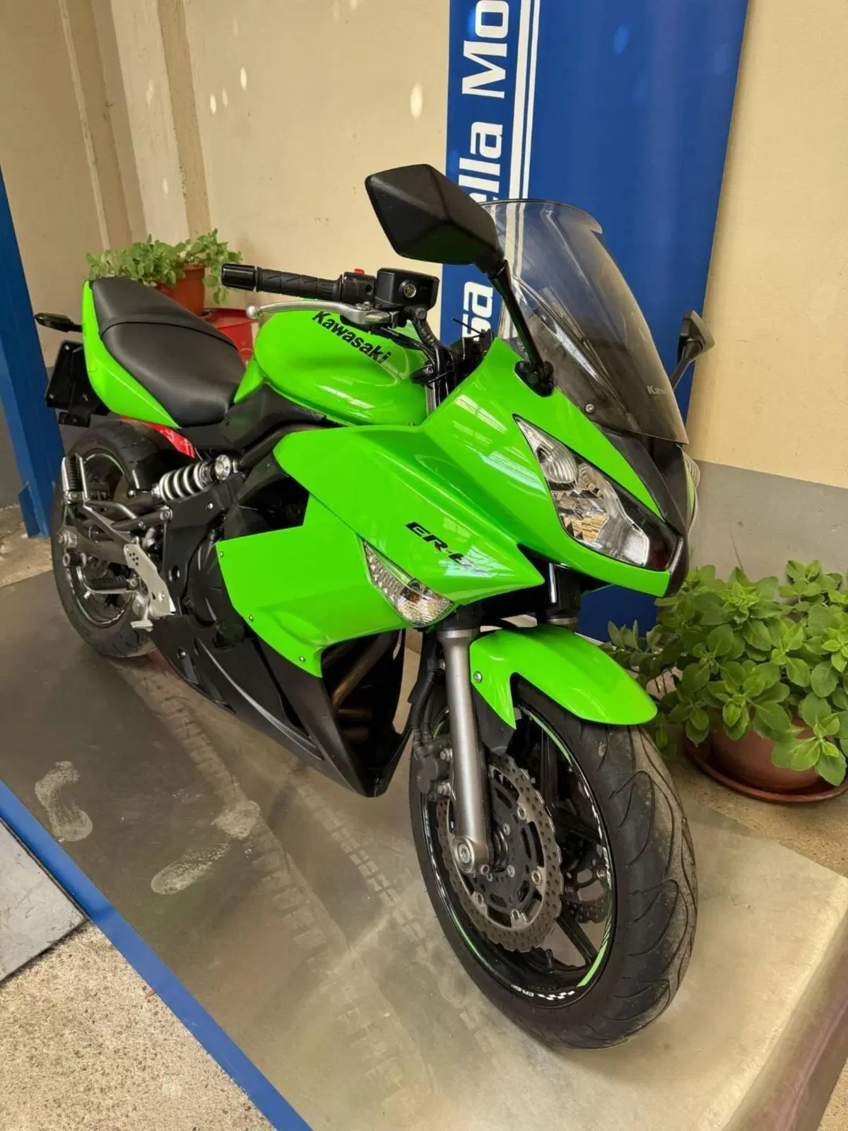 Kawasaki ER-6F (2009 - 11) (4)