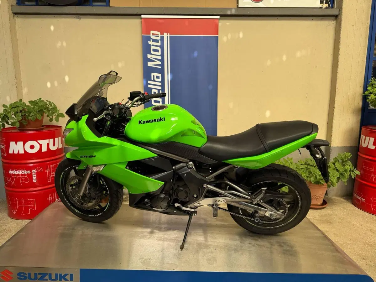Kawasaki ER-6F (2009 - 11) (7)