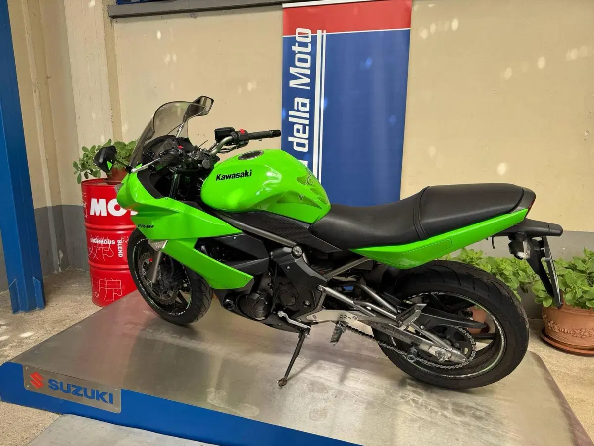 Kawasaki ER-6F (2009 - 11) (8)