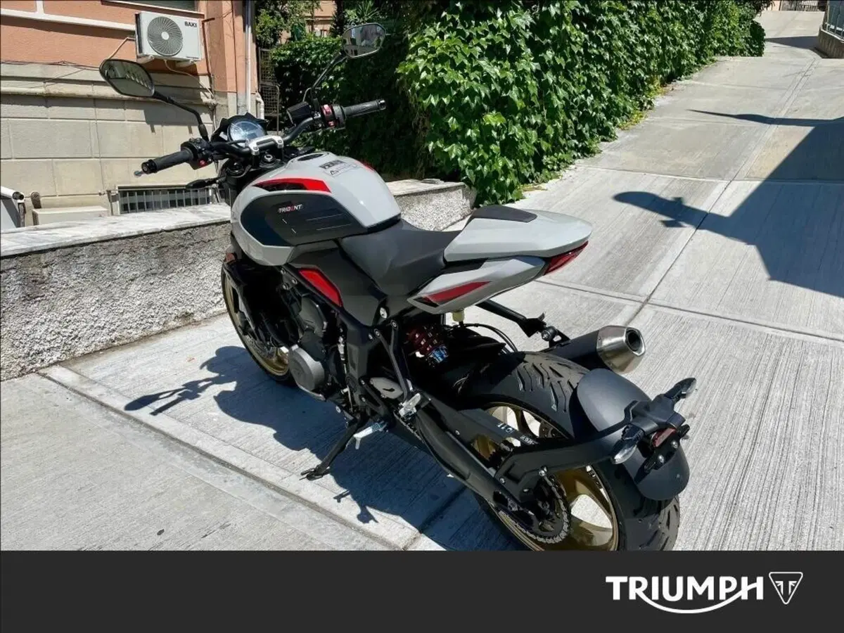 Triumph Trident 800 (2026) (4)