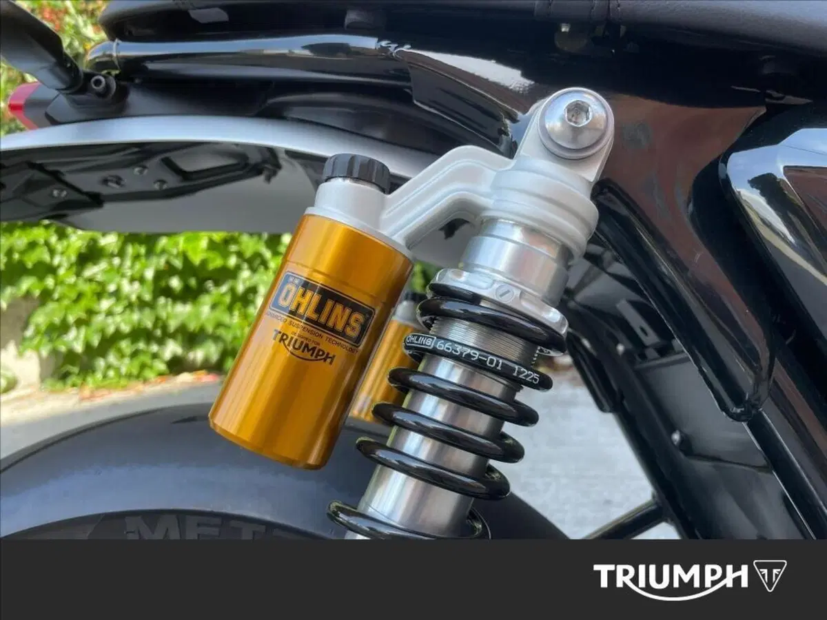 Triumph Speed Twin 1200 RS (2025 - 26) (7)