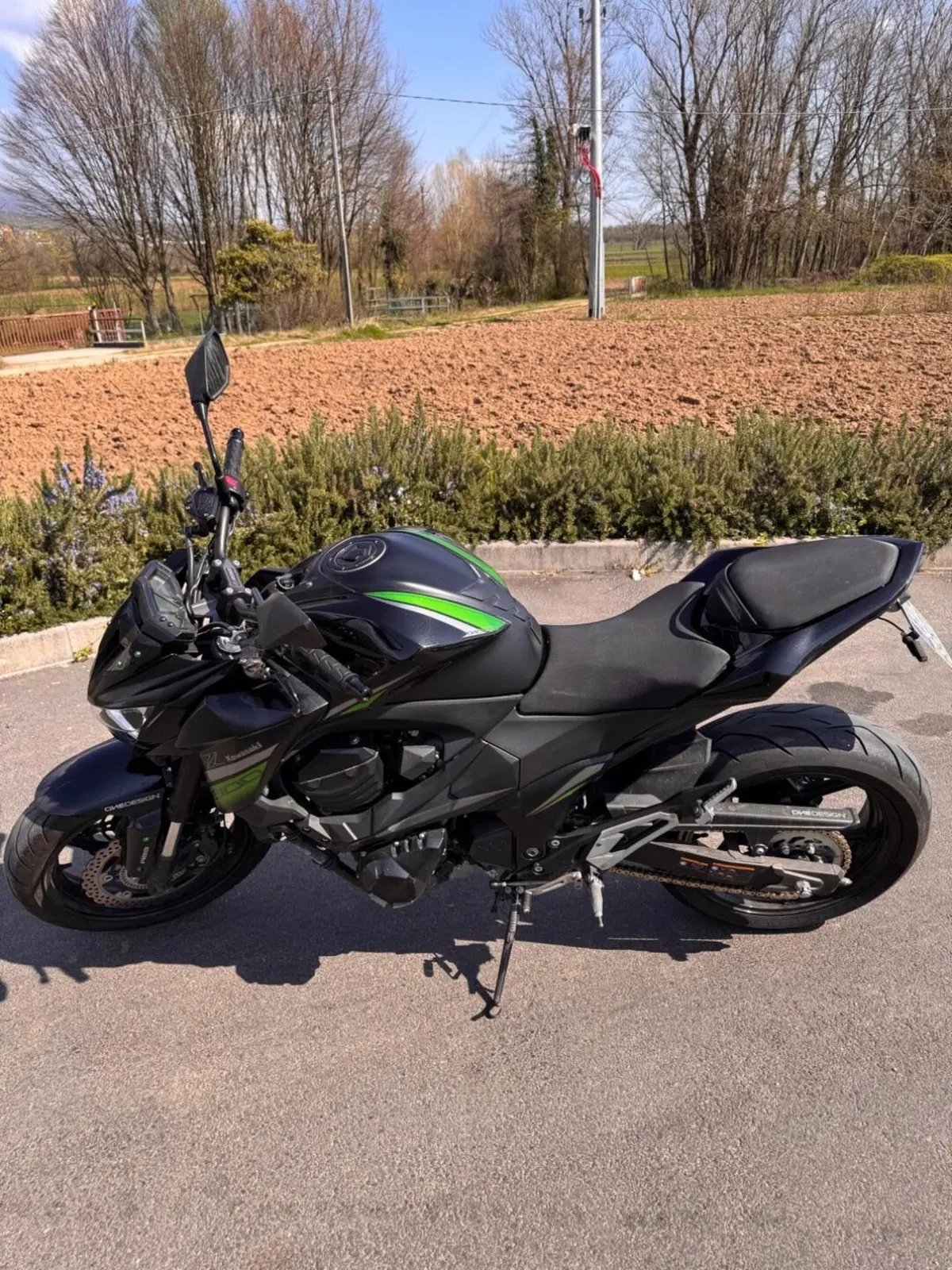 Kawasaki Z 800 e ABS (2012 - 16) (2)