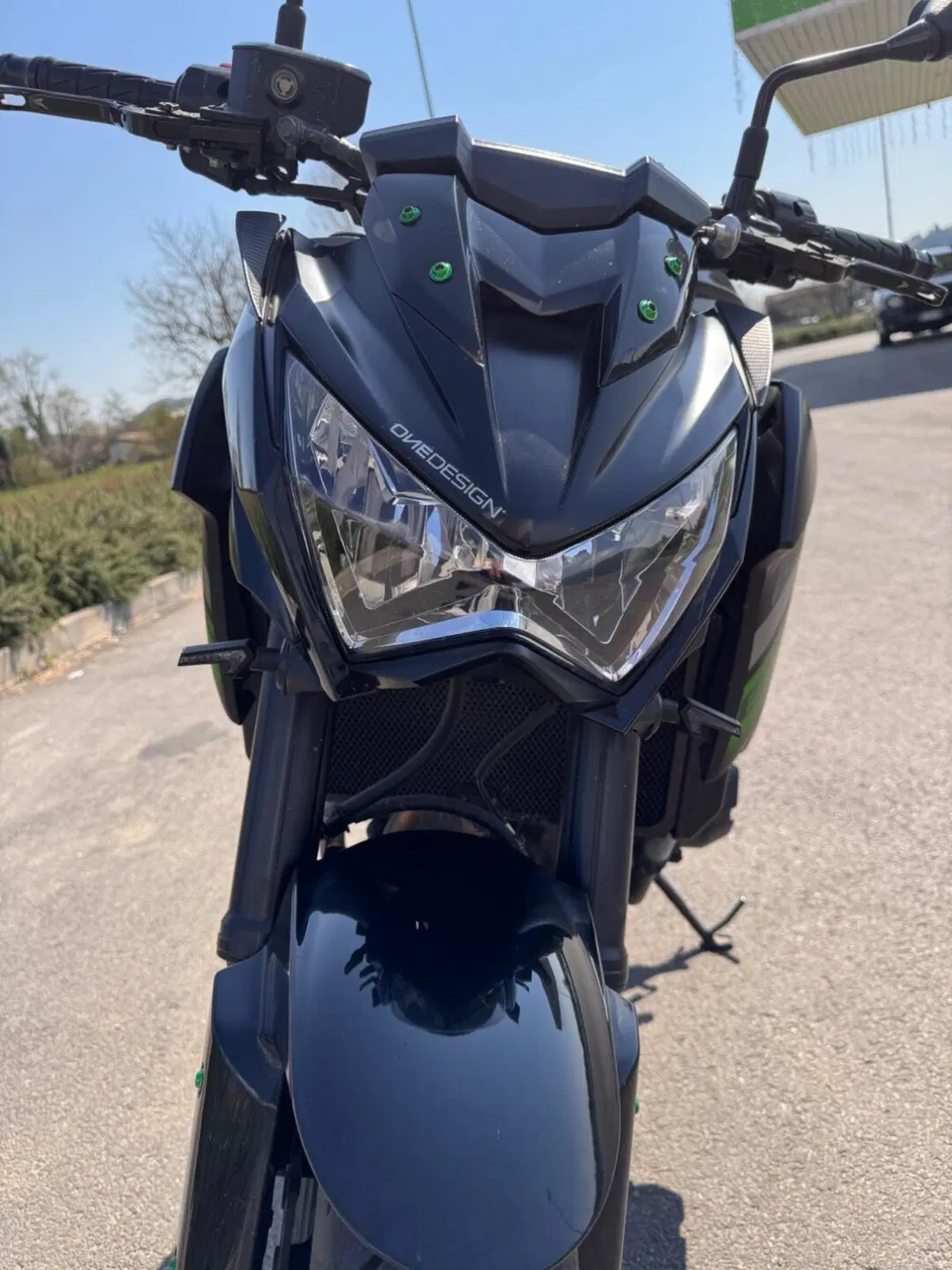 Kawasaki Z 800 e ABS (2012 - 16) (6)