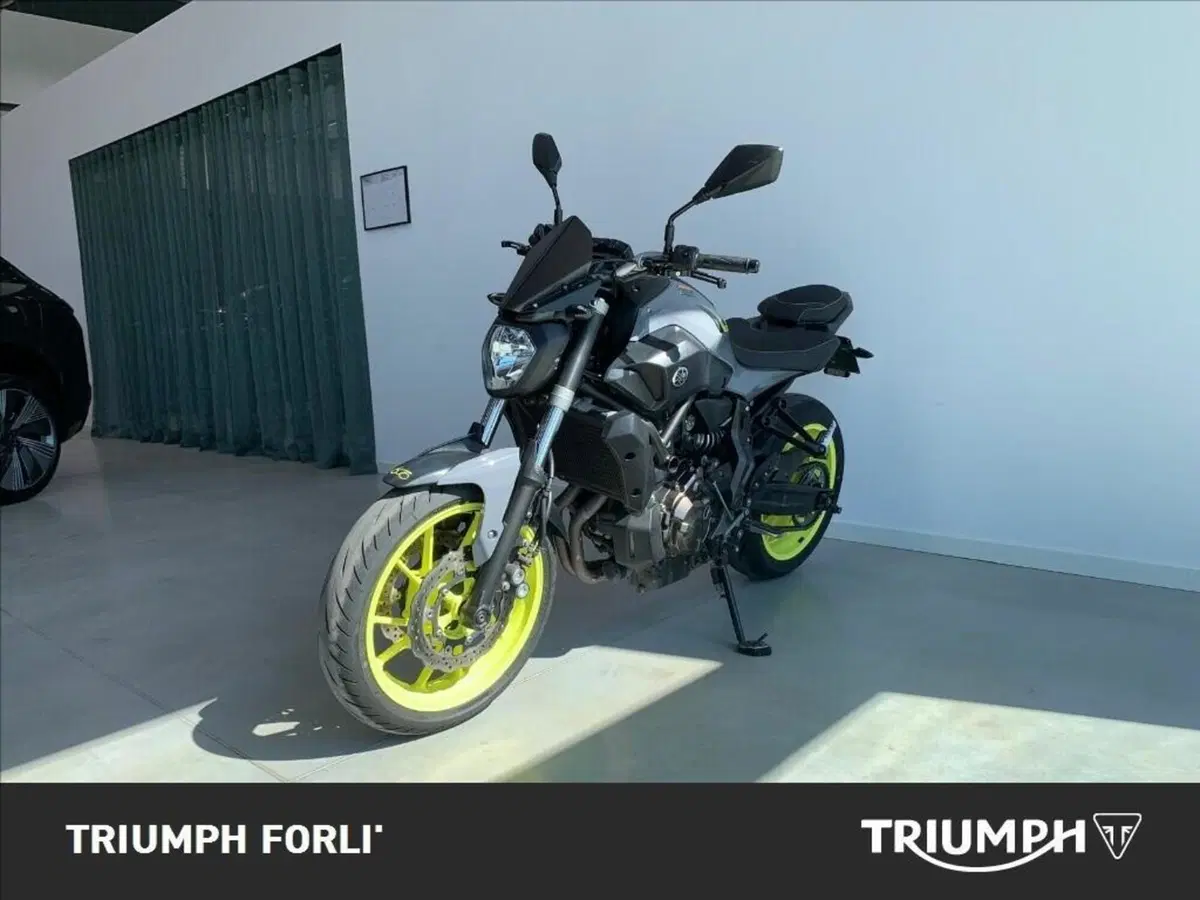 Yamaha MT-07 (2017 - 18) (3)