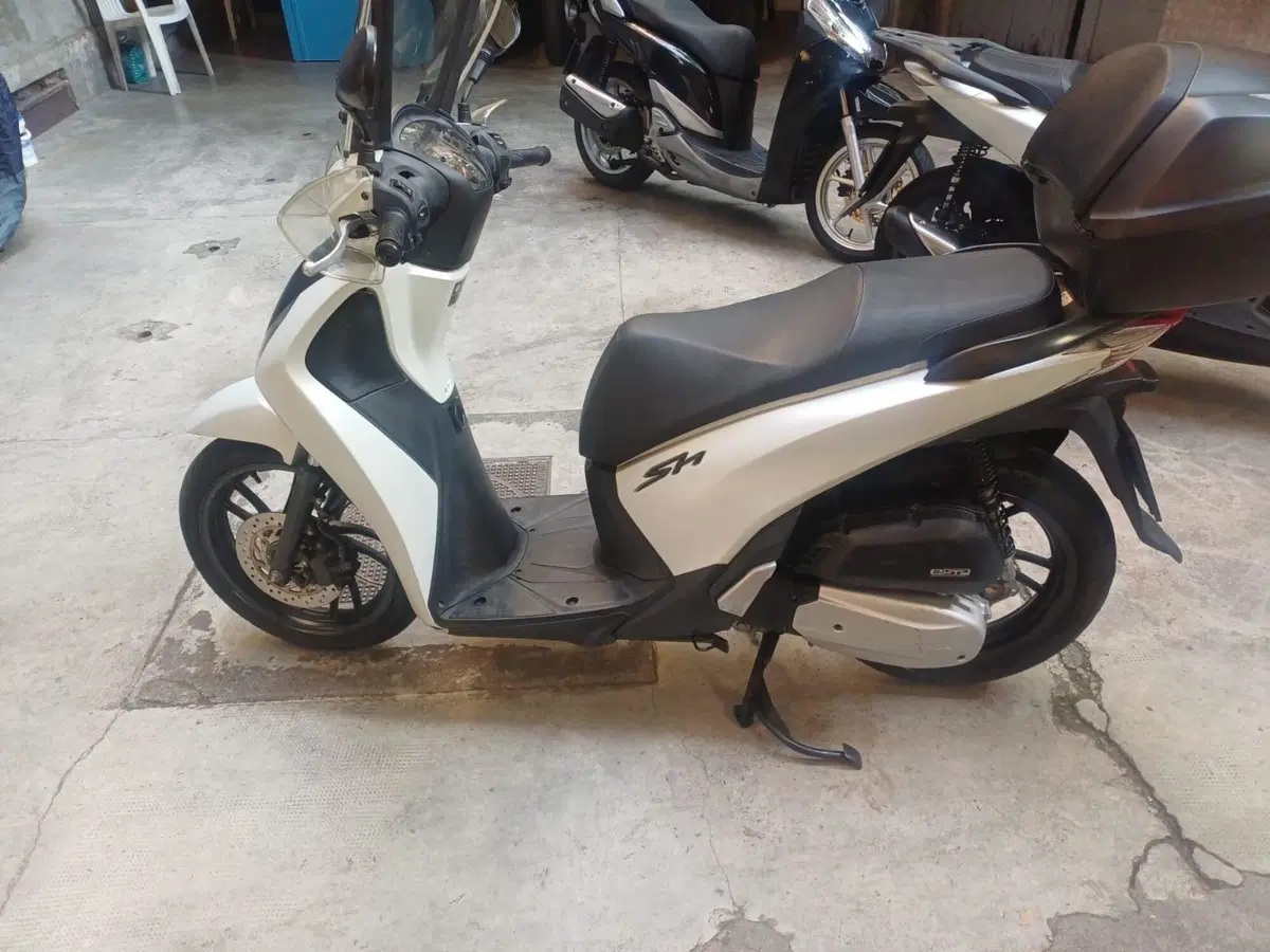 Honda SH 125i (2024 - 25)