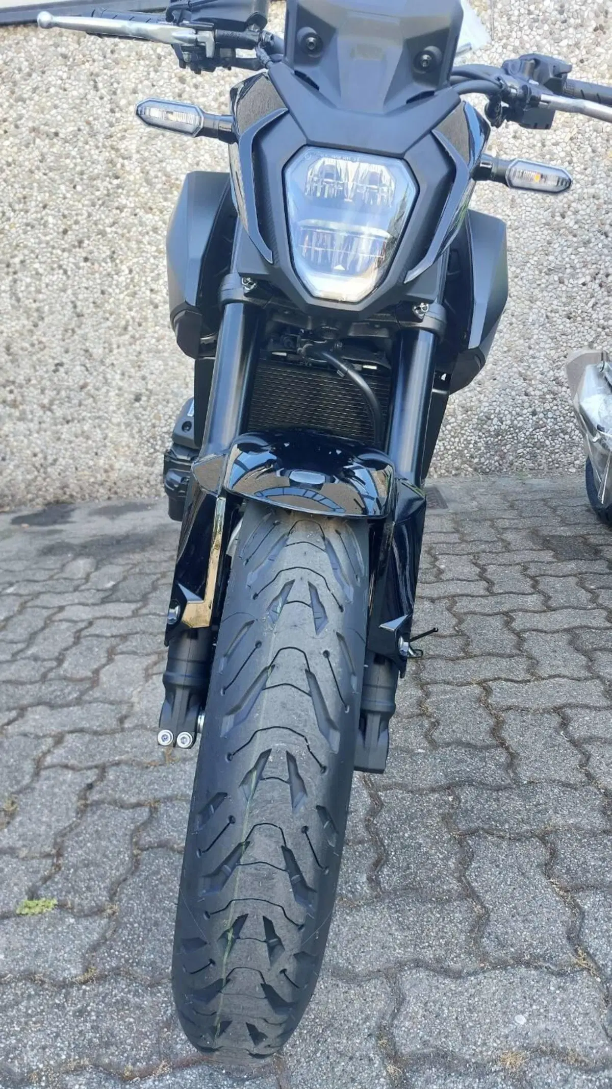 Honda CB 500 Hornet (2026) (5)