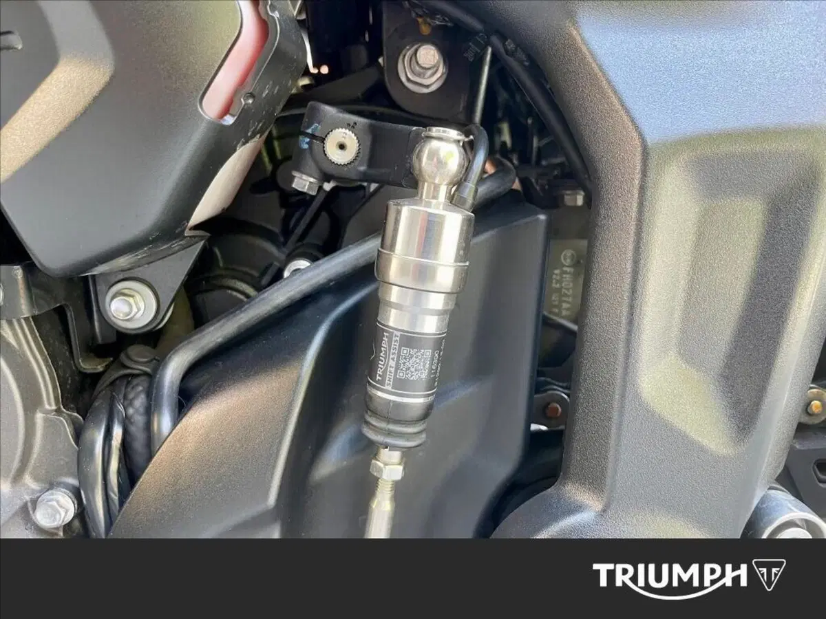 Triumph Trident 660 (2021 - 24) (10)