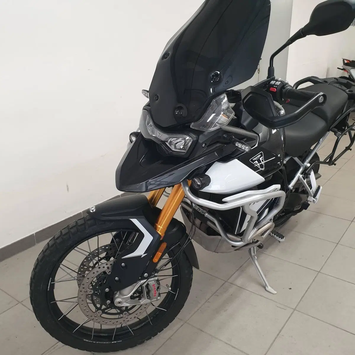 Triumph Tiger 900 Rally Pro (2024 - 26) (5)