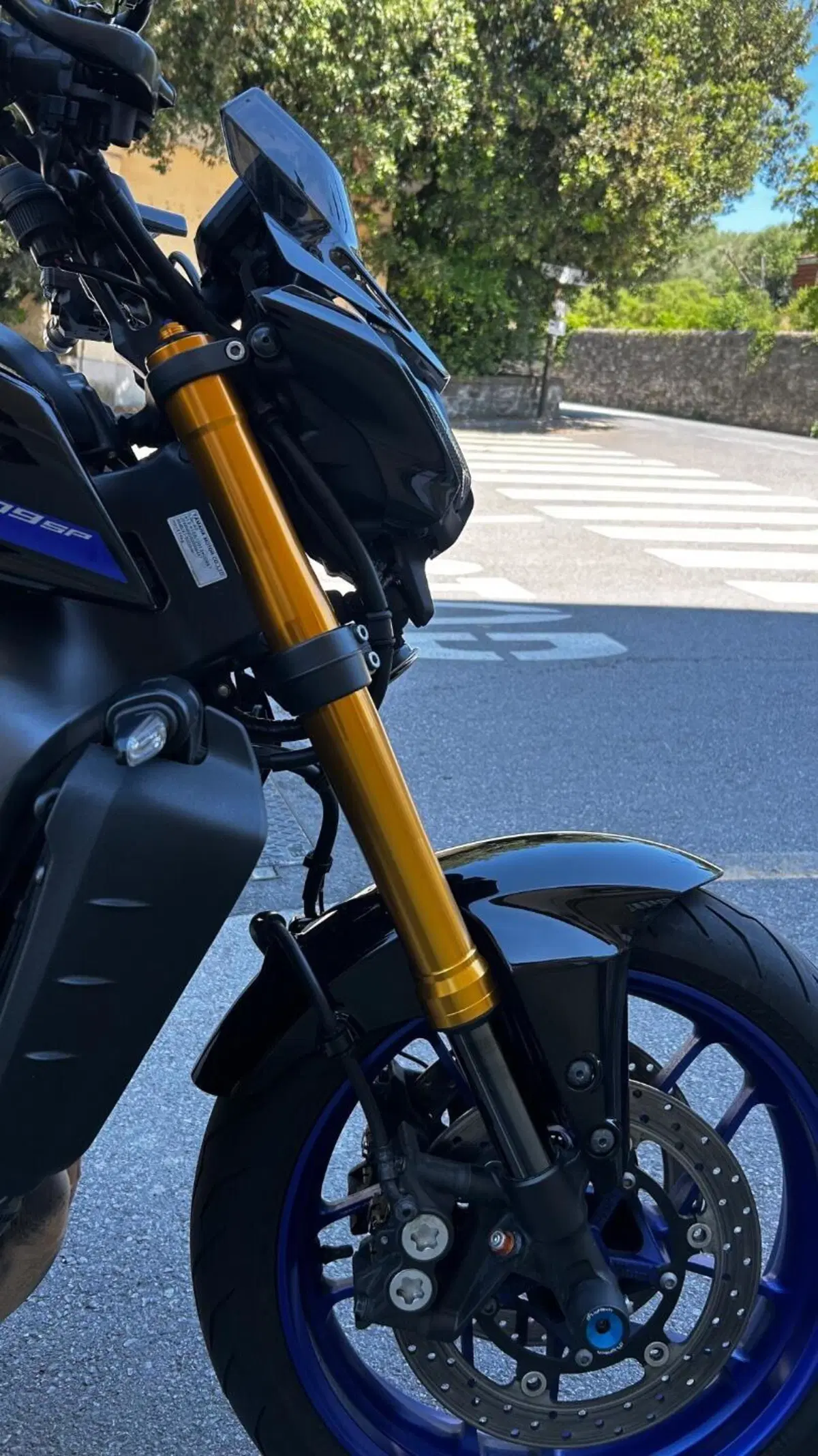 Yamaha MT-09 SP (2021 - 23) (5)